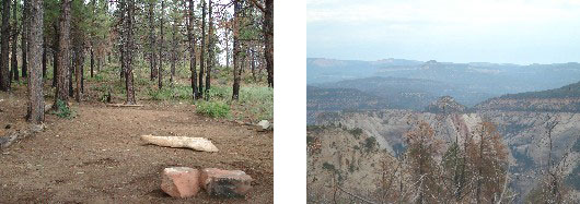 Zion West Rim Trail: Panoramic Views & Remote Wilderness Hiking
